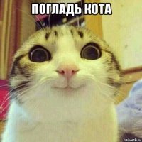 погладь кота 