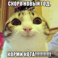 скоро новый год, корми кота!!!!!!!!!!!