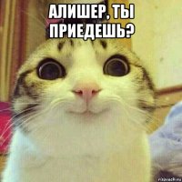 алишер, ты приедешь? 