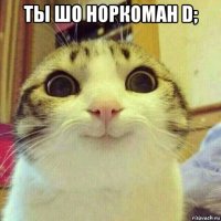 ты шо норкоман d; 