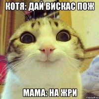 котя: дай вискас пож мама: на жри