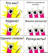 Кто мы? Любители королевских питонов! Короче! Фанаты региусов! Одним словом! Региусисты!