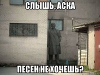 слышь, аска песен не хочешь?