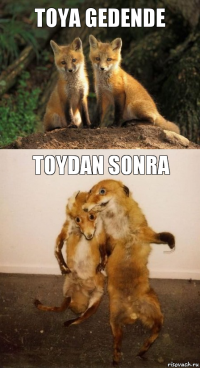 Toya gedende toydan sonra