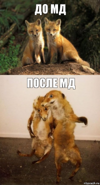 До МД После МД