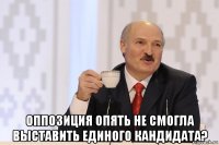  оппозиция опять не смогла выставить единого кандидата?