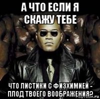 а что если я скажу тебе что листики с физхимией - плод твоего воображения?