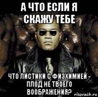 а что если я скажу тебе что листики с физхимией - плод не твоего воображения?