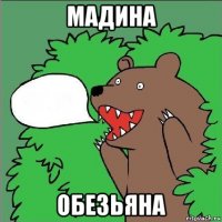 мадина обезьяна