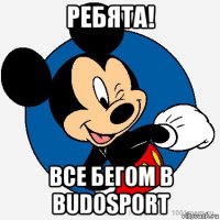 ребята! все бегом в budosport