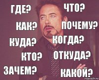 где? что? куда? зачем? откуда? когда? кто? какой? как? почему?