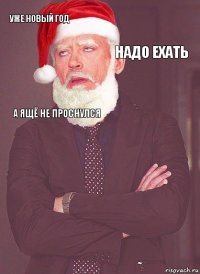 уже новый год надо ехать а ящё не проснулся  