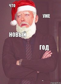 ЧТО УЖЕ НОВЫЙ ГОД 