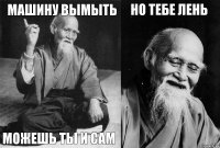 машину вымыть можешь ты и сам но тебе лень 