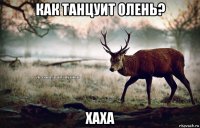 как танцуит олень? хаха