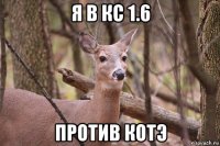 я в кс 1.6 против котэ