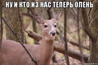 ну и кто из нас теперь олень 