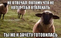 не отвечал, потому что не хотел тебя отвлекать ты же к зачёту готовилась