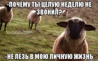 -почему ты целую неделю не звонил? -не лезь в мою личную жизнь