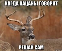 когда пацаны говорят решай сам