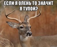 если я олень то значит я тупой? 