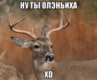 ну ты олэньиха xd