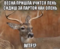 весна пришла учится лень сидиш за партой как олень wtf!?