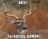 анэт... ты идешь домой?