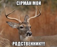 сірман мой родственник!!!