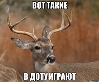 вот такие в доту играют