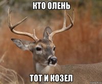 кто олень тот и козел