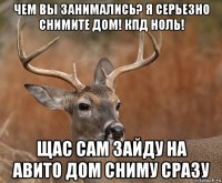 чем вы занимались? я серьезно снимите дом! кпд ноль! щас сам зайду на авито дом сниму сразу