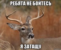 ребята не бойтесь я затащу