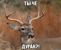 ты чё дурак?!