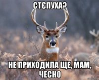 стєпуха? не приходила ще, мам, чесно