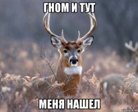 гном и тут меня нашел