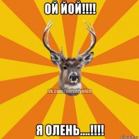 ой йой!!!! я олень....!!!!