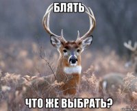 блять что же выбрать?