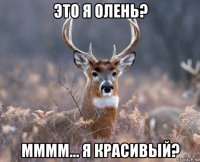 это я олень? мммм... я красивый?