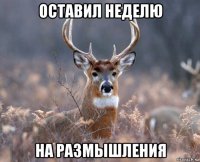 оставил неделю на размышления