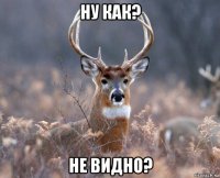 ну как? не видно?