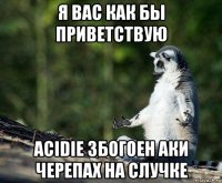 я вас как бы приветствую acidie збогоен аки черепах на случке