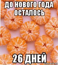 до нового года осталось 26 дней