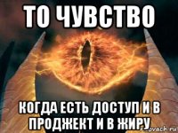 то чувство когда есть доступ и в проджект и в жиру