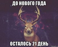 до нового года осталось 21 день