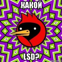 какой lsd?