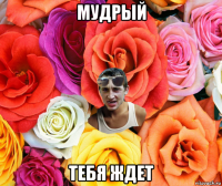 мудрый тебя ждет