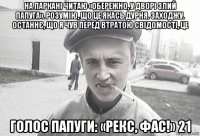 на паркані читаю «обережно, у дворі злий папуга». розумію, що це якась дурня. заходжу. останнє, що я чув перед втратою свідомості, це голос папуги: «рекс, фас!» 21