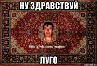 ну здравствуй луго