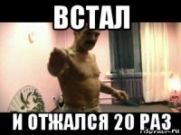 встал и отжался 20 раз